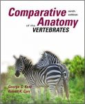 Comparative Anatomy of the Vertebrates by George C Kent