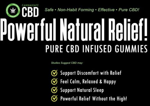 40 Of Cbdwildleaf 8 Gummies Helps With Anxiety Stress Sleep Pain Ends Friday At12 Midnight