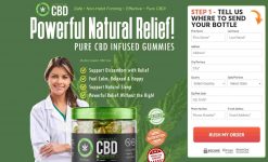 How Bio Wellness CBD Gummies Works?