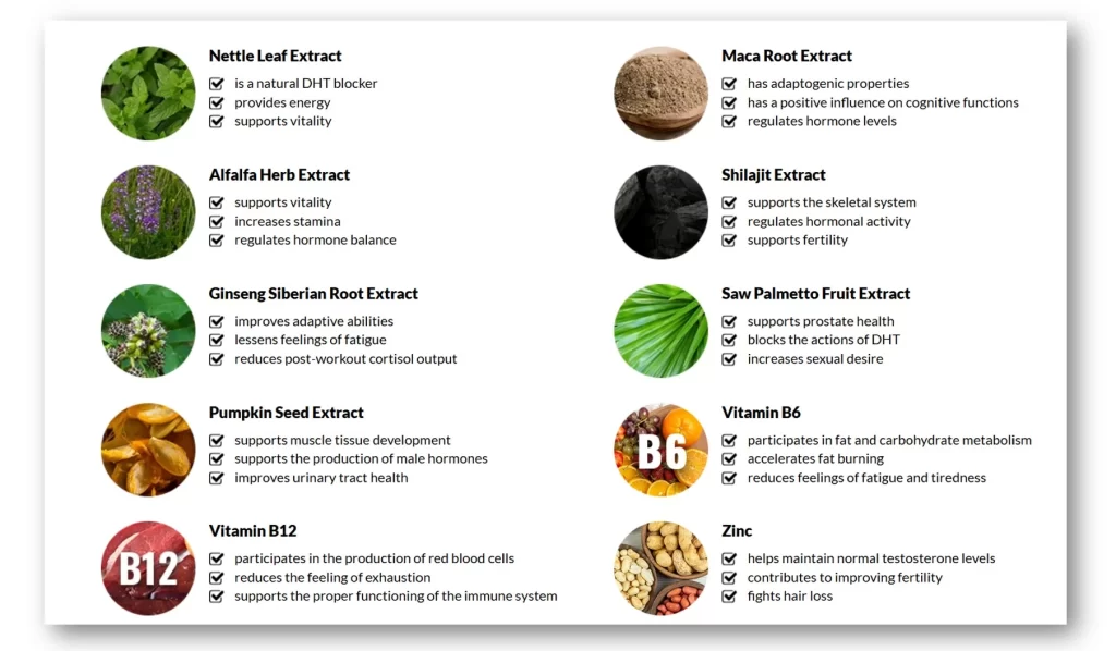 A list of Bulk Extreme ingredients with descriptions.