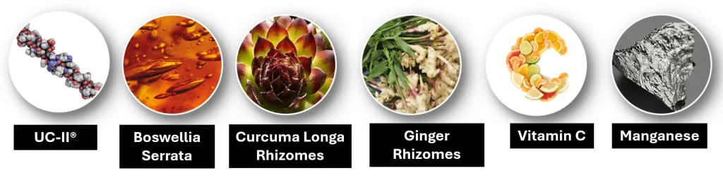 ProFlexen Ingredients