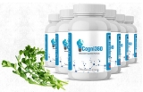 Cogni Brain 360 Advanced Brain Formula
